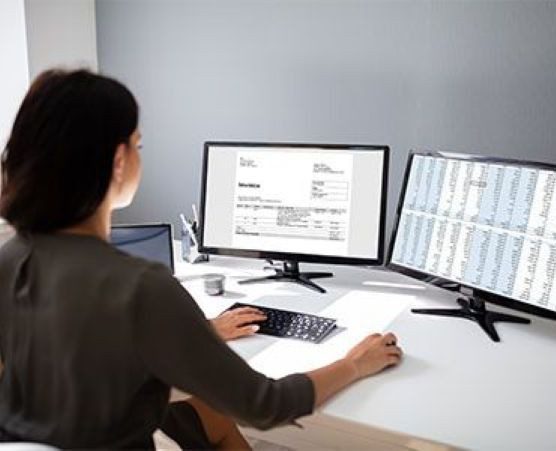 Bookkeeper Double Monitors Picture 556 x 451